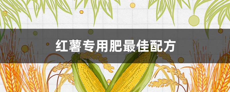 红薯专用肥最佳配方（红薯专用肥料）