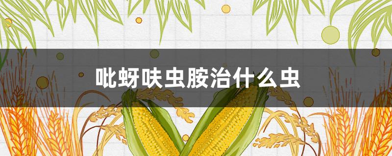 吡蚜呋虫胺治什么虫 吡蚜呋虫胺治蚜虫吗