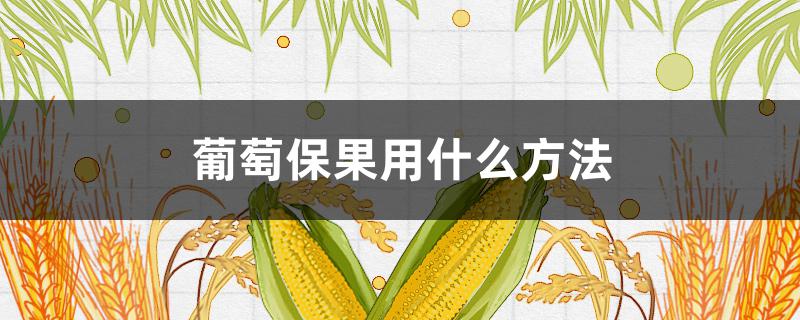 葡萄保果用什么方法（葡萄保花保果用什么药）