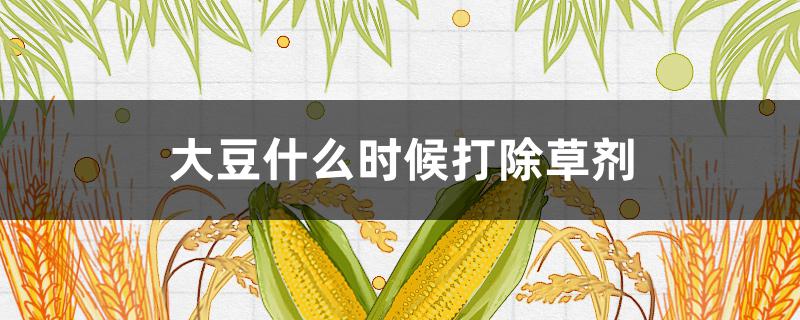 大豆什么时候打除草剂 大豆什么时候打除草剂合适