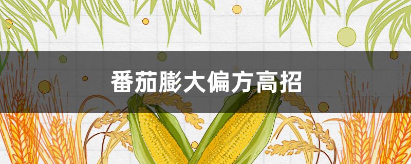 番茄膨大偏方高招 小番茄膨果的最佳配方