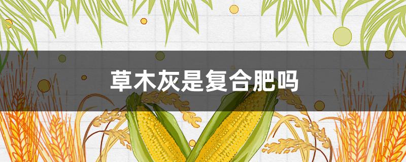草木灰是复合肥吗（草木灰和哪个肥能混合使用）