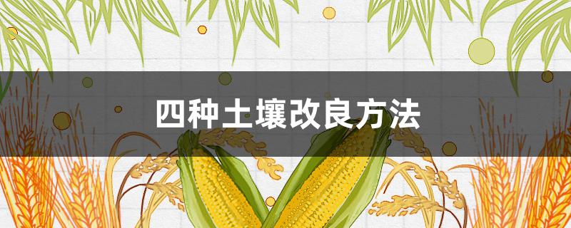 四种土壤改良方法（土壤改良的措施）