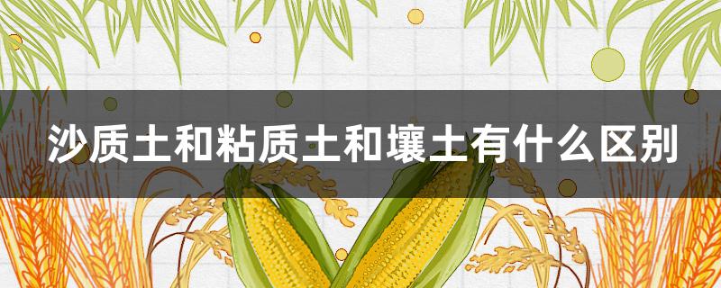沙质土和粘质土和壤土有什么区别 沙质土和粘质土和壤土有什么区别图片