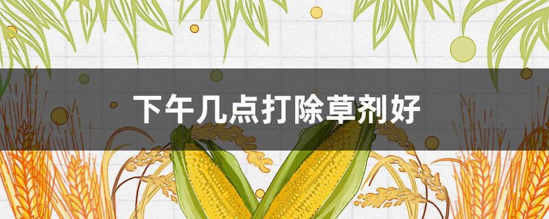 下午几点打除草剂好(什么时候打除草剂效果最好上午还是下午)