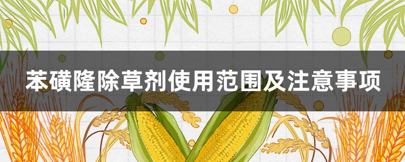苯磺隆除草剂使用范围及注意事项（苯磺异丙隆除草剂使用方法）