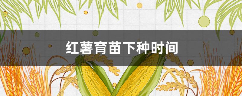 红薯育苗下种时间（红薯在几月份育苗）