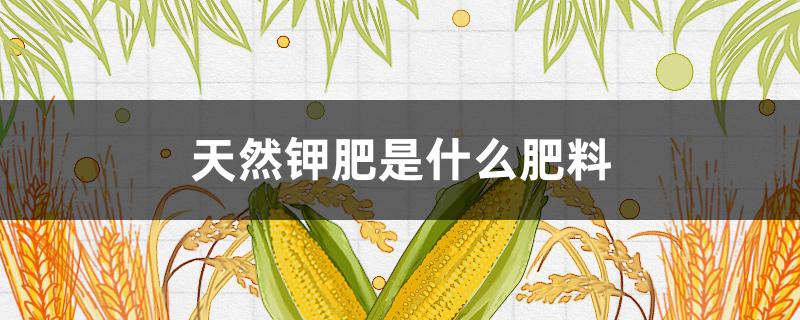 天然钾肥是什么肥料 什么肥料是钾肥料