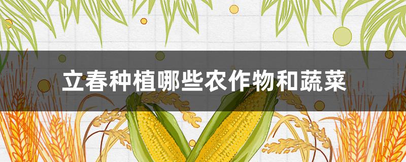 立春种植哪些农作物和蔬菜（立春适合种什么蔬菜）