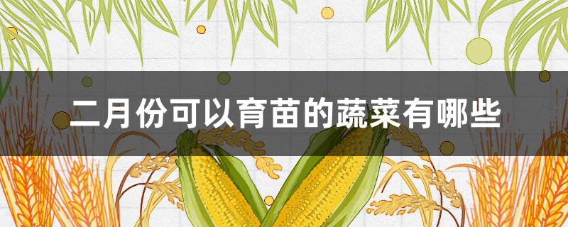 二月份可以育苗的蔬菜有哪些（三月份可以哪些蔬菜可以育苗）