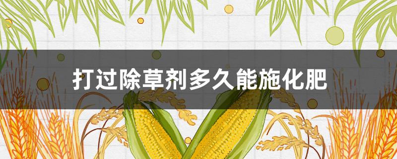 打过除草剂多久能施化肥 打完除草剂能追肥料吗