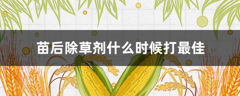 苗后除草剂什么时候打最佳（苗后除草剂什么时间喷洒效果最好）