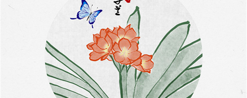 君子兰换盆注意事项 君子兰换盆注意事项视频