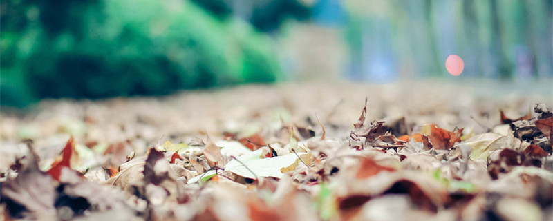 网上买的营养土可以直接种花吗 买的通用营养土可以直接种花吗