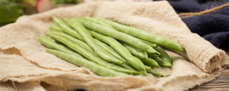 四季豆多久开花结果（四季豆多长时间开花结果）