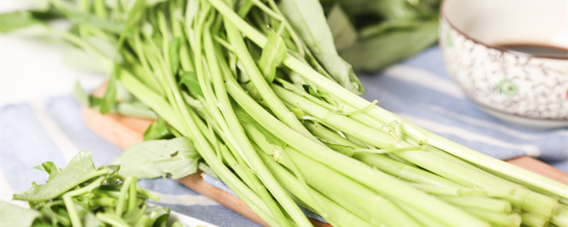 空心菜种子怎么种（空心菜种子怎么种植视频）