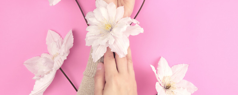 铁线莲花语 进口铁线莲花语