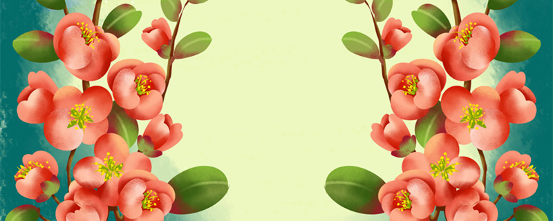 玻璃翠的养殖方法和注意事项（玻璃翠的养殖方法和注意事项图片）