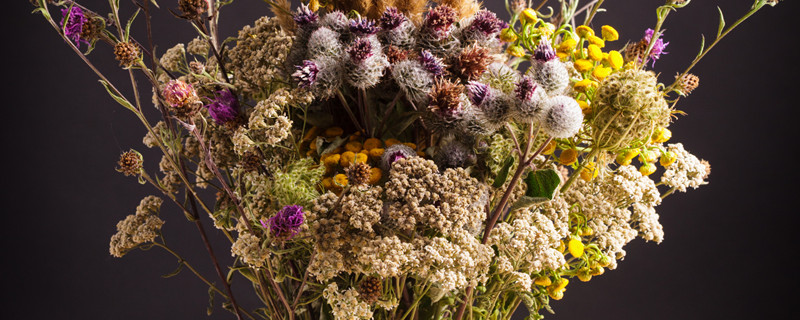 哪一种花语代表我想你 很想你的花语