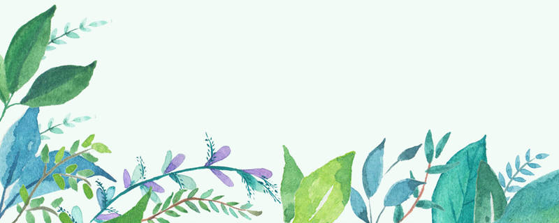 巴西木怎么养（巴西木怎么养才能开花）