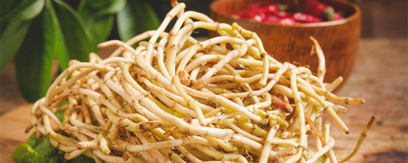 鱼腥草的食用方法 鱼腥草的食用方法有哪些