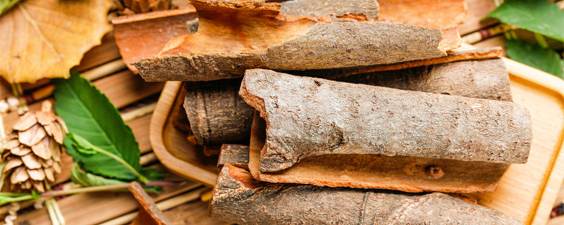 桂枝是什么树的枝 桂枝是什么树的枝子