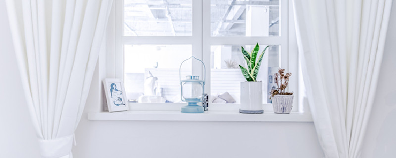 空气凤梨窗帘的制作及养护(空气凤梨装饰效果图)