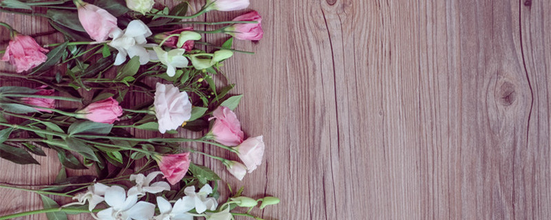 桔梗是什么东西（安徽桔梗是什么东西）