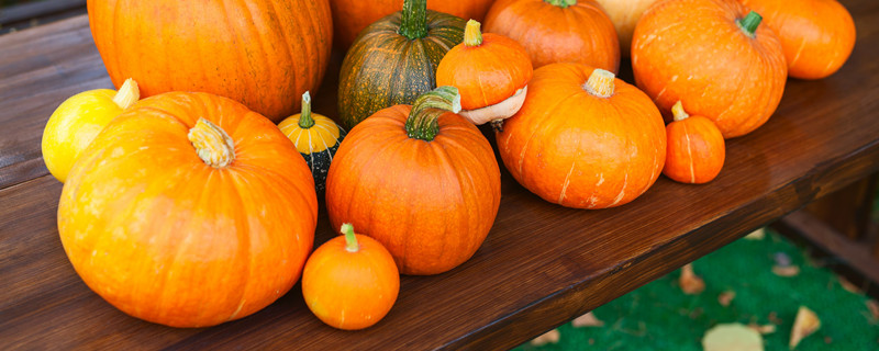 为什么南瓜结果不大就掉了 南瓜为什么结果总是烂掉