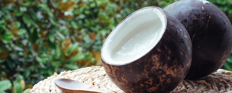 袖珍椰子怎么养（绿植袖珍椰子怎么养）