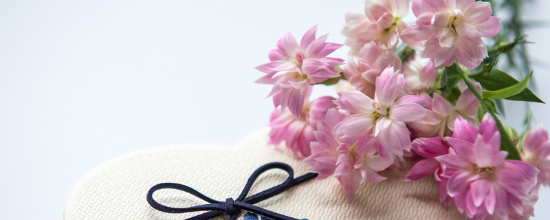 生日送花送什么花（生日送花送什么花送几朵）