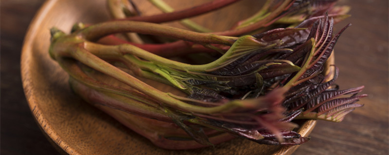 刺嫩芽怎么扦插能生根（扦插刺嫩芽种植技术）