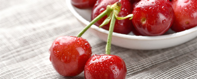 樱花樱桃 樱花樱桃花区别