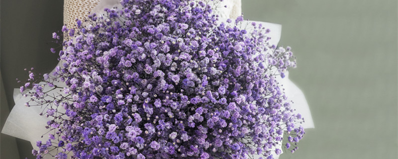 朋友生日送什么花(朋友生日送什么花合适)