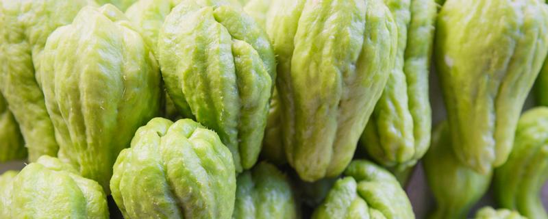 佛手瓜的留种方法（佛手瓜留种储存的方法）