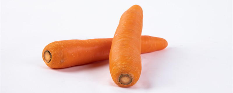 胡萝卜用什么繁殖 胡萝卜用什么繁殖茎还是叶或者垠