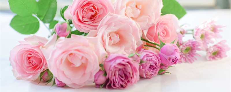 19朵玫瑰花语 19朵玫瑰花语花礼网