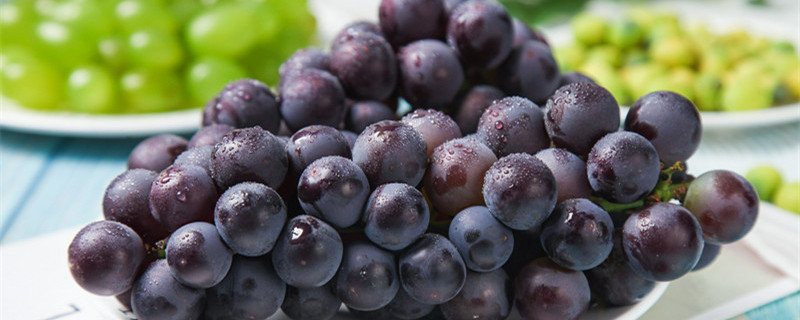 葡萄籽出的苗几年结果 自己出来的葡萄苗几年结果