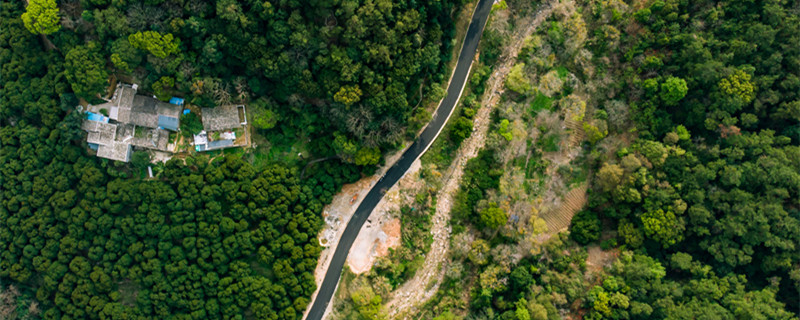 北方地区植被类型（北方地区植被类型特征）