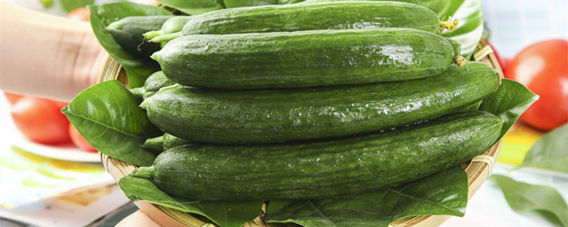 黄瓜几天一浇水几天一施肥 黄瓜几天浇水合适