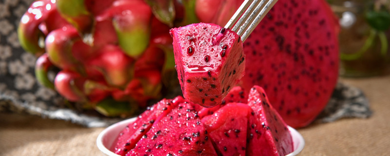 火龙果的种植技术与栽培（火龙果的种植技术与栽培技术）