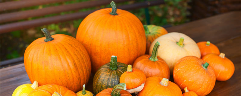 南瓜人工授粉的方法（南瓜人工授粉的方法视频）