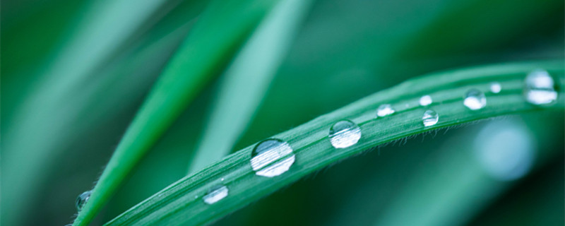 除草是什么季节（除草是什么季节二年级）