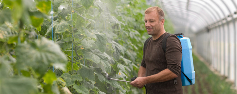 硫酸亚铁浇花使用方法 硫酸亚铁浇花使用方法注意事项