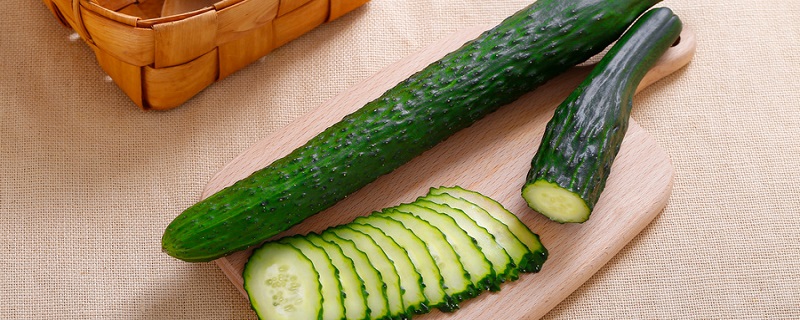 青瓜的种植方法及管理技术（青瓜的种植方法及管理技术为什么青瓜只开野花不结瓜）