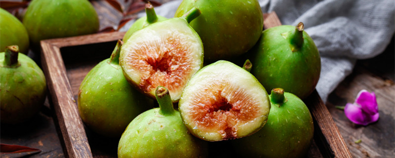 无花果六月份能移栽吗（无花果树六月份能栽活吗）