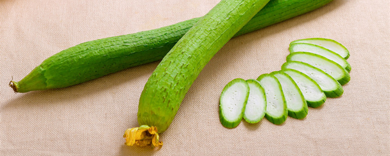 丝瓜种子不泡直接种可以吗（买的丝瓜种子结的丝瓜可以留种吗）