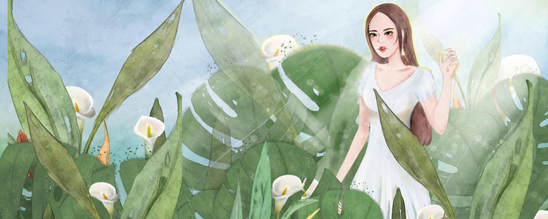 滴水观音的养殖方法 滴水观音的养殖方法和注意事项 怎么养