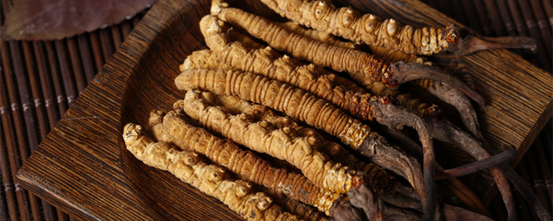 人工养殖冬虫夏草和天然野生的区别 冬虫夏草野生的和种植的有没有区别