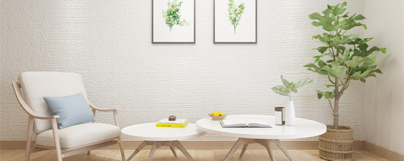 橡皮树放在哪里旺风水（橡皮树放在大门口旺风水）